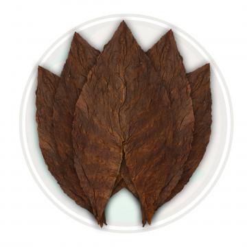 Dominican Seco Olor Cigar Filler Tobacco Leaf